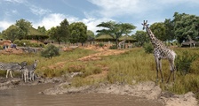 New African Savannah Zoo exhibit achieves planning