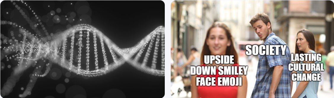 gene x meme