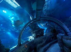 SEALIFE™ London Aquarium